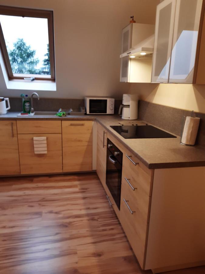 Apartamenty Nad Wisla スカビナ エクステリア 写真