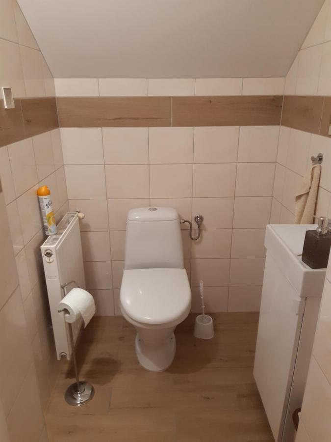 Apartamenty Nad Wisla スカビナ エクステリア 写真